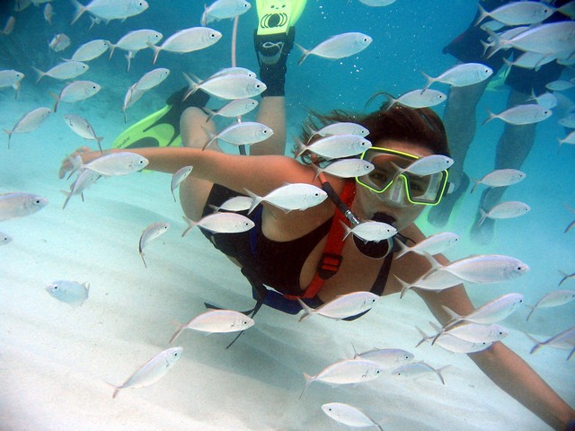 snuba-cayman-grand-cayman-cayman-islands-1