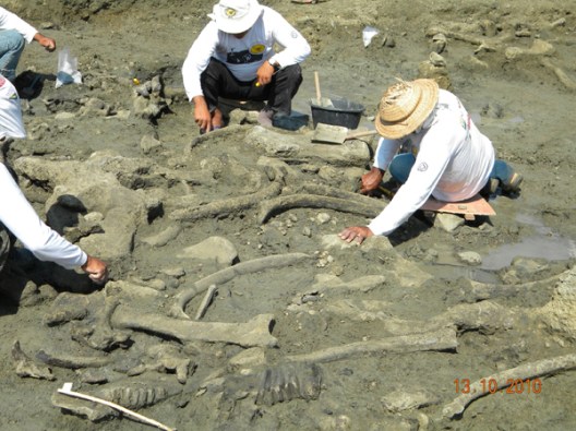 (www.saoraimundo.com)