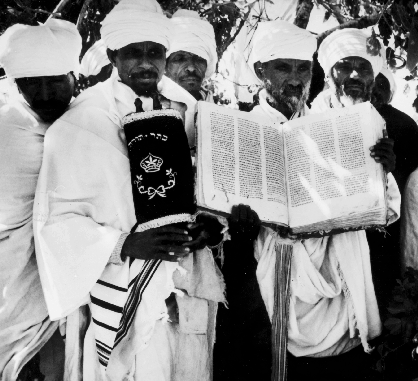 hamiticunion.proboards.com