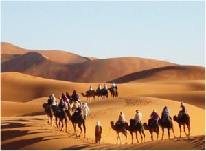 populac3a7c3a3o-de-beduinos-do-deserto